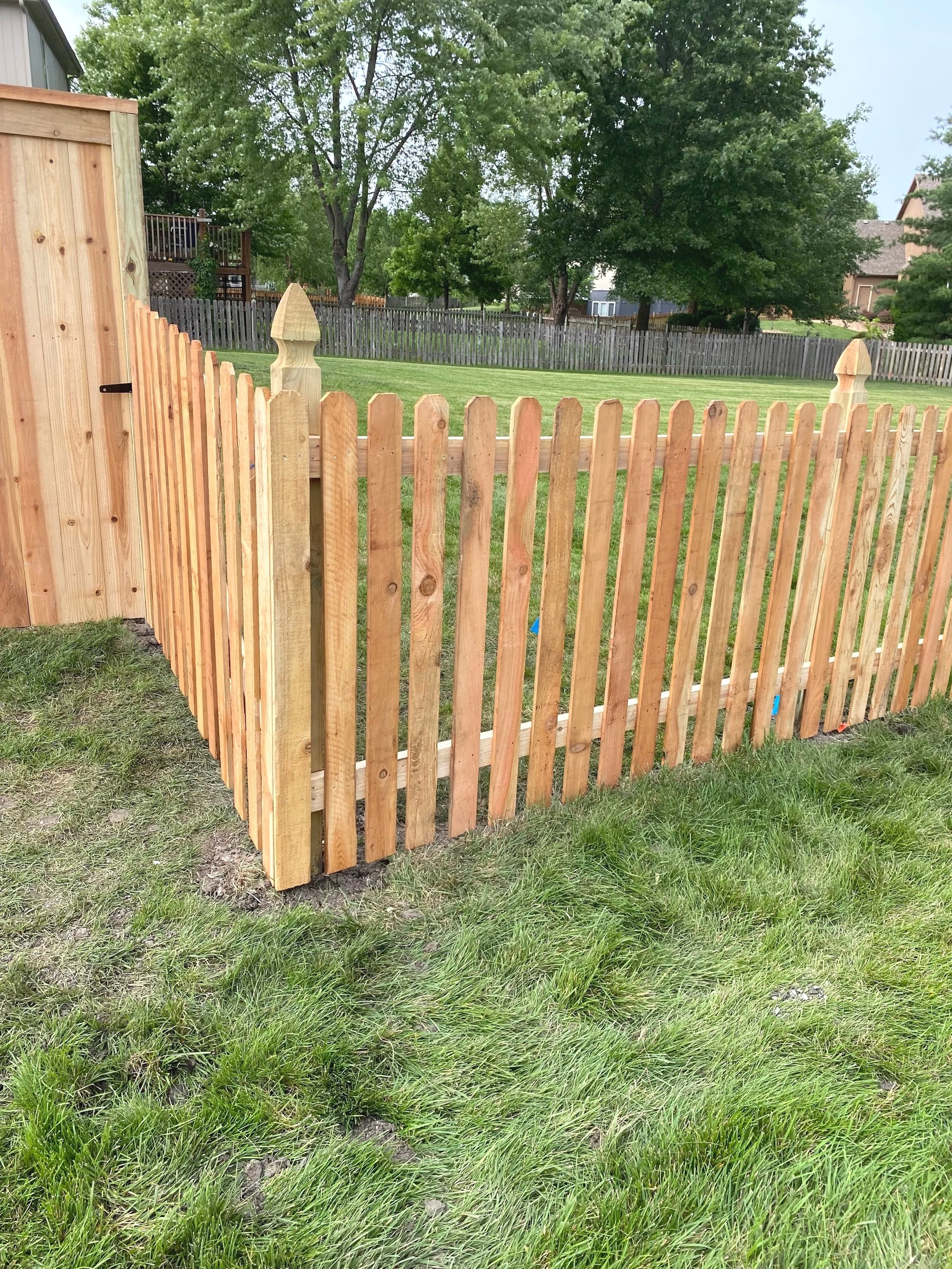Cedar privacy fence with custom gate