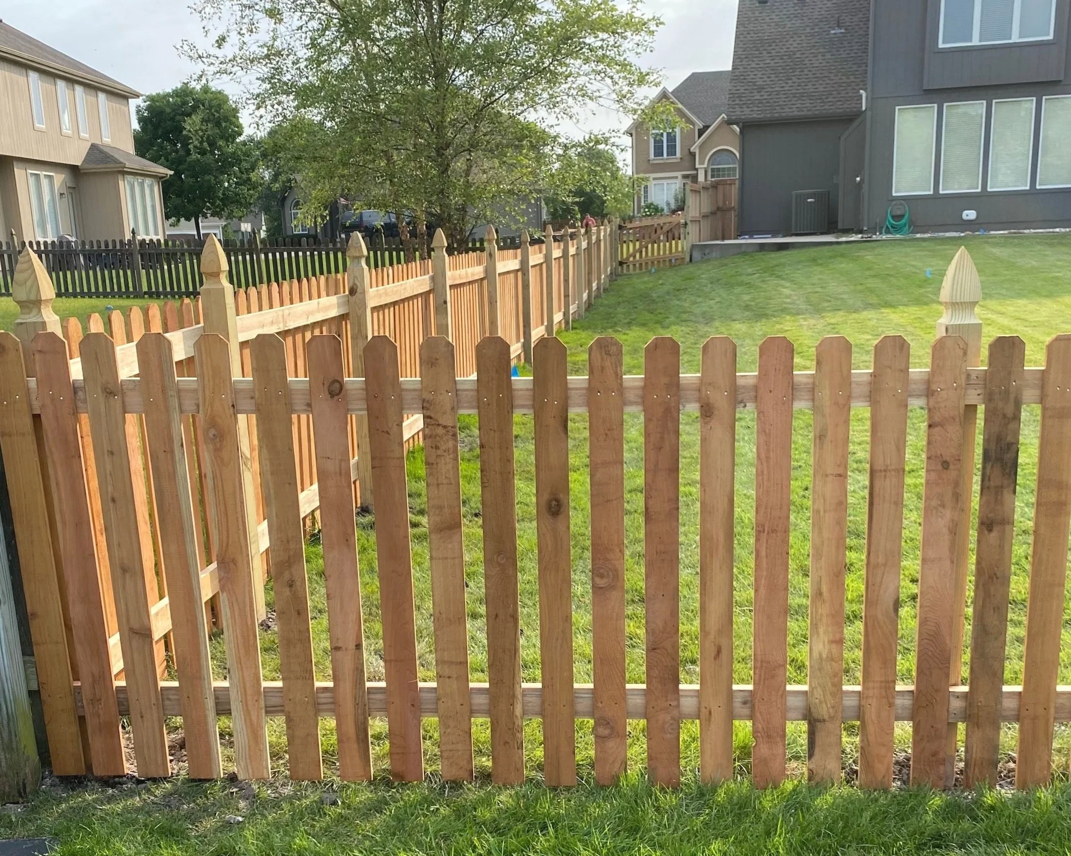 Backyard fencing project with clean finish